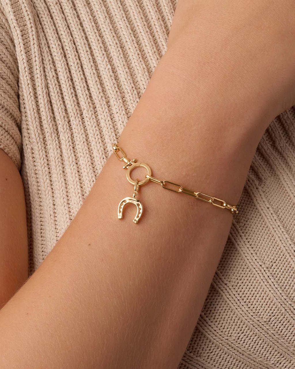 Horseshoe Parker Charm