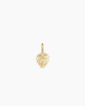 Monstera Parker Charm